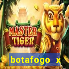botafogo x palmeiras futmax